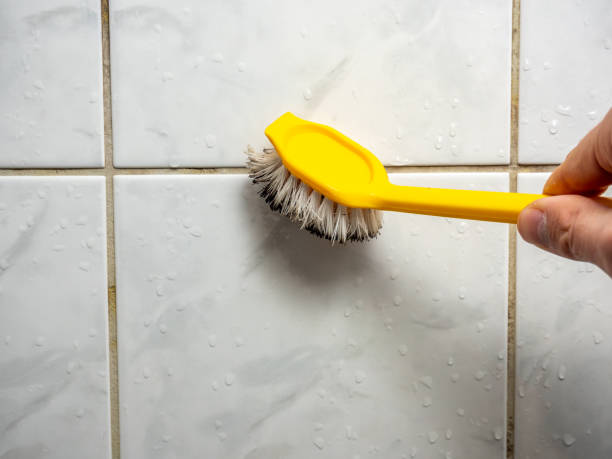 Best Post-Remediation Services in Ironwood, MI