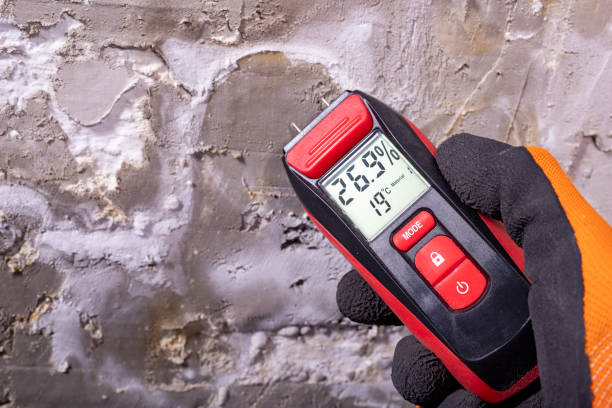 Best Mold Remediation for Schools in Ironwood, MI